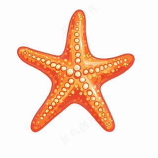 海星海洋生物卡通插画免抠
