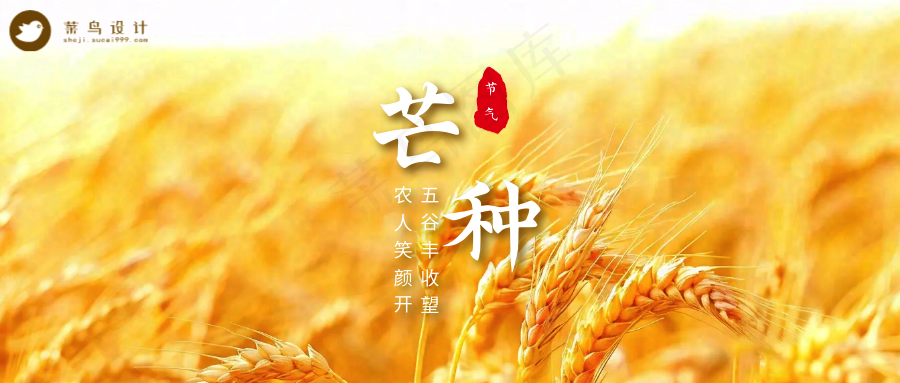 芒种公众号首图