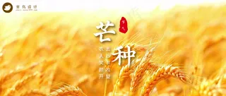 芒种公众号首图