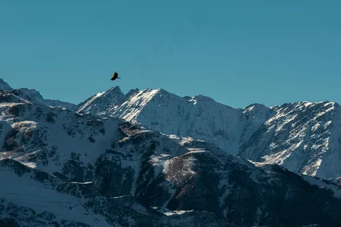 雪山鹰飞:写实蓝调风光摄影 雪山鹰飞:写实蓝调风光摄影