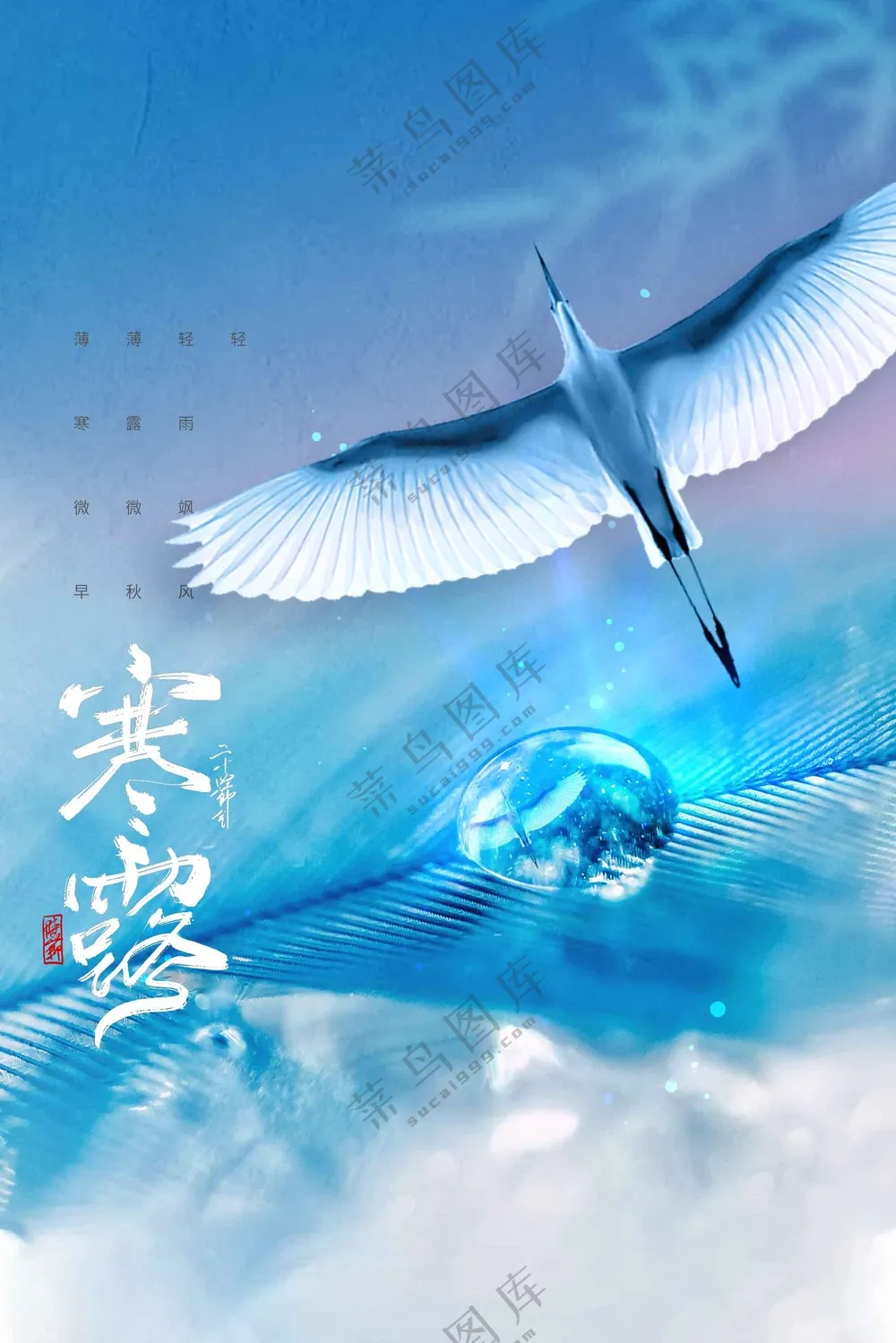 寒露节气传统活动海报