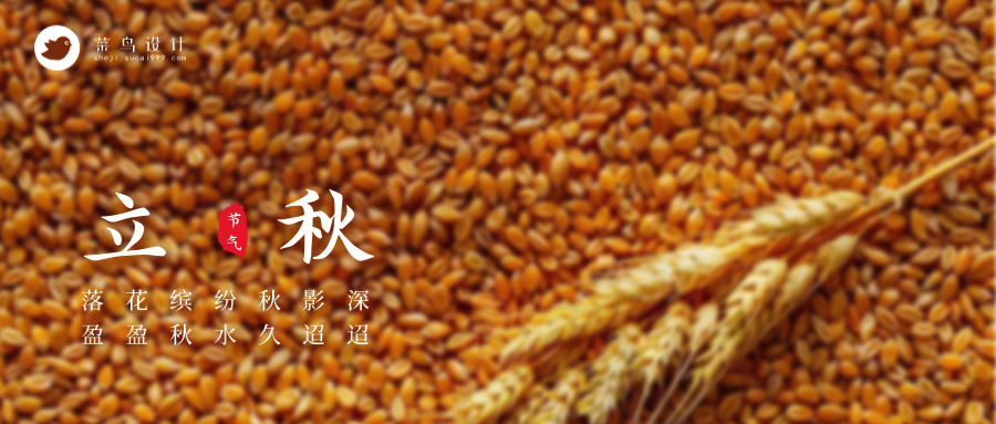 立秋公众号首图
