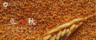 立秋公众号首图