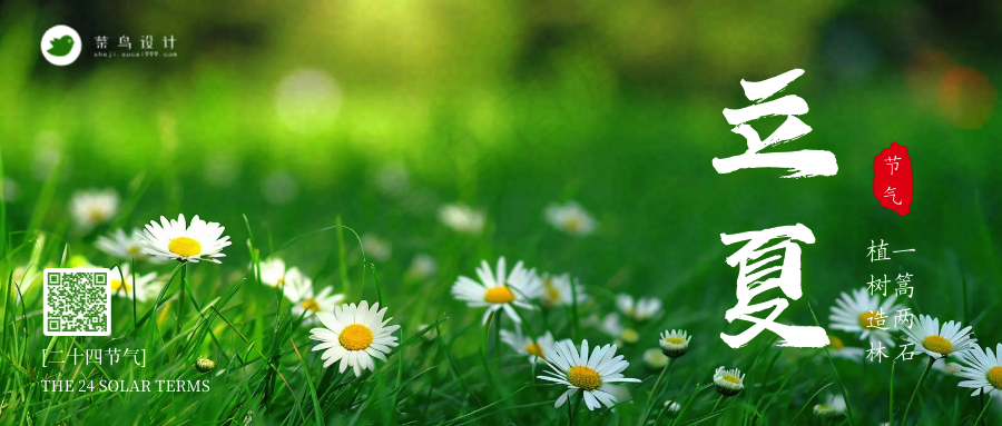 立夏公众号首图