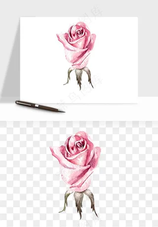 水彩复古花卉png免抠