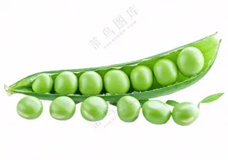 豌豆青豆蔬菜免抠