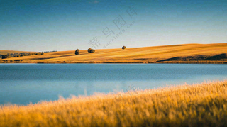 秋天枯黄的草原湖泊大自然风光摄影图