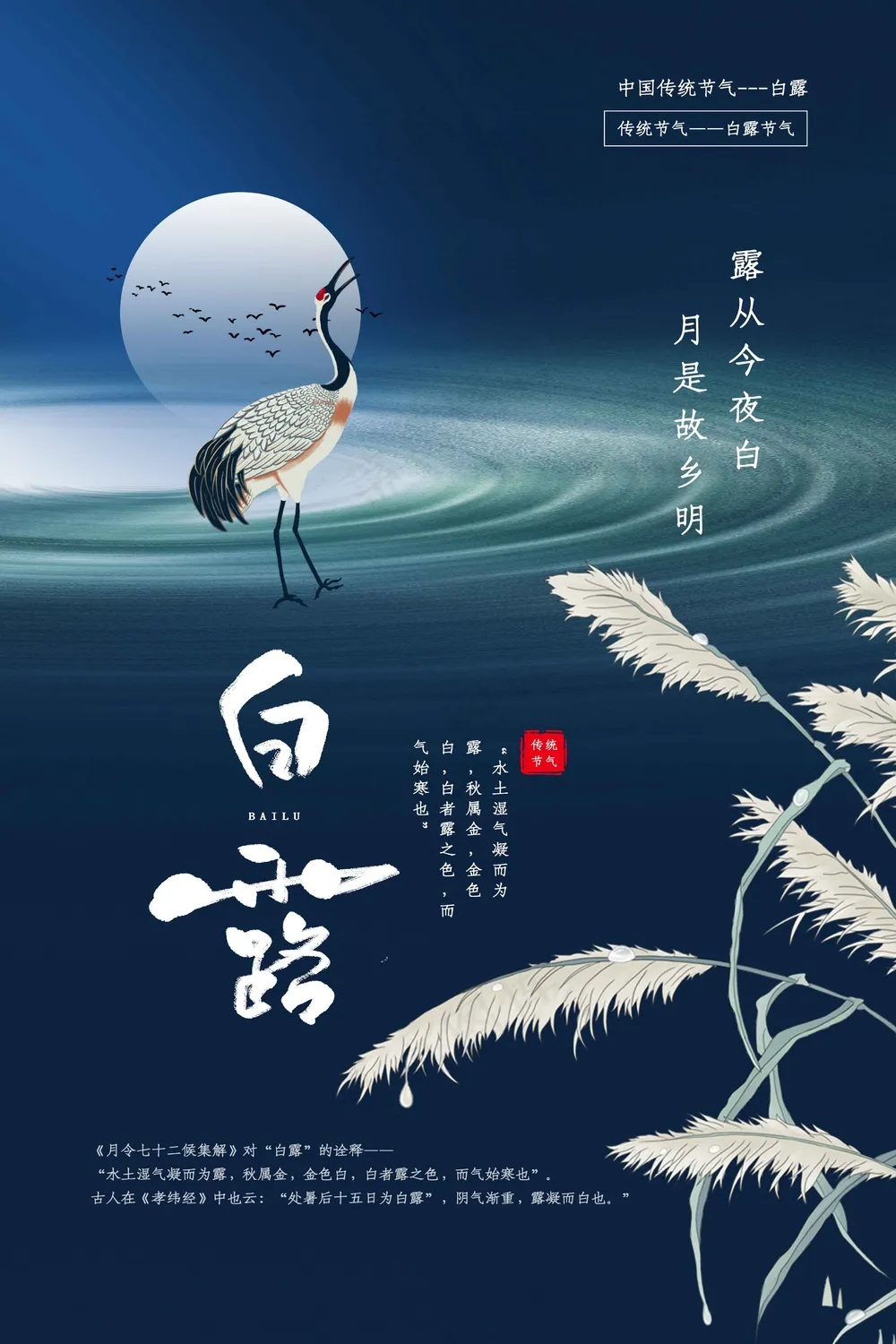 白露节气传统活动宣传海报