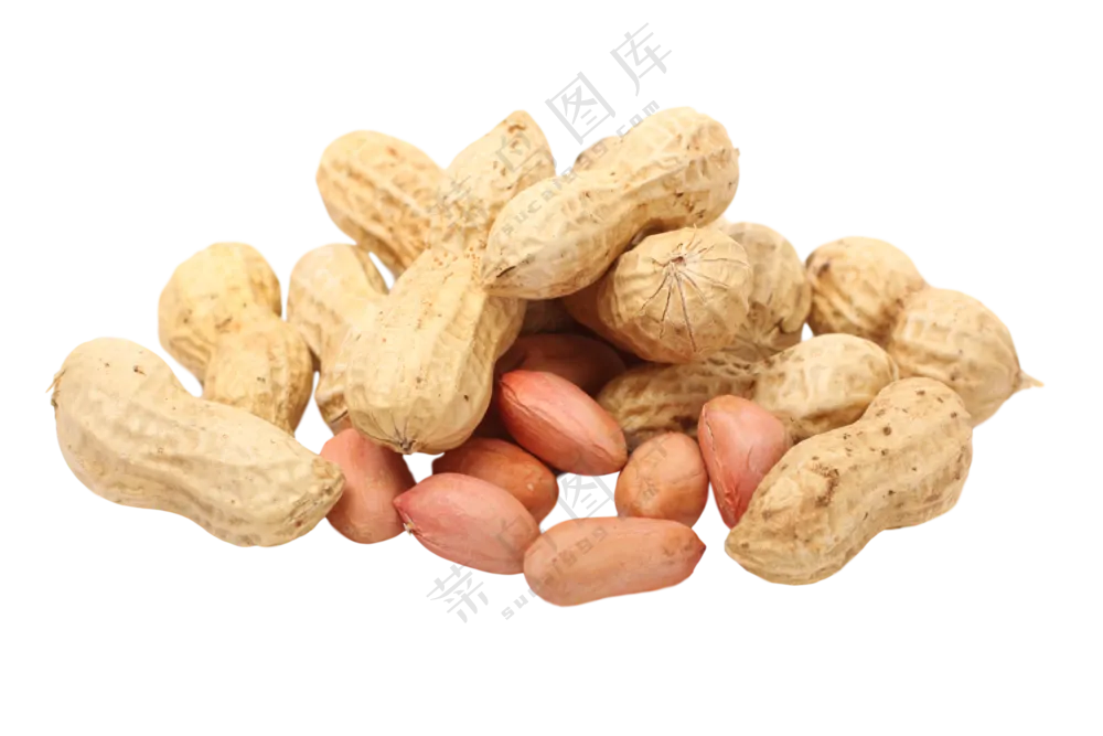 花生壳与红皮花生主题免抠图片素材