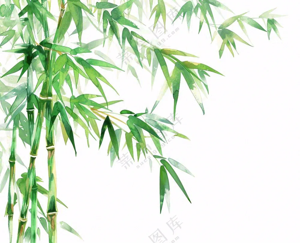 绿竹竹子绿植水墨画插画免抠