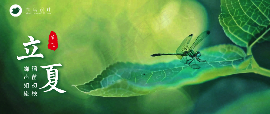 立夏公众号首图