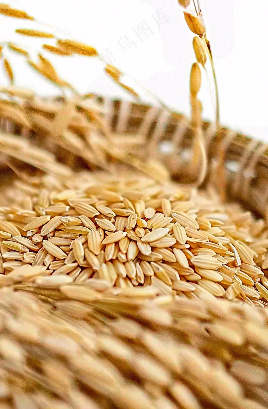粮食稻谷米饭珍惜粮食丰收世界粮食日摄影图