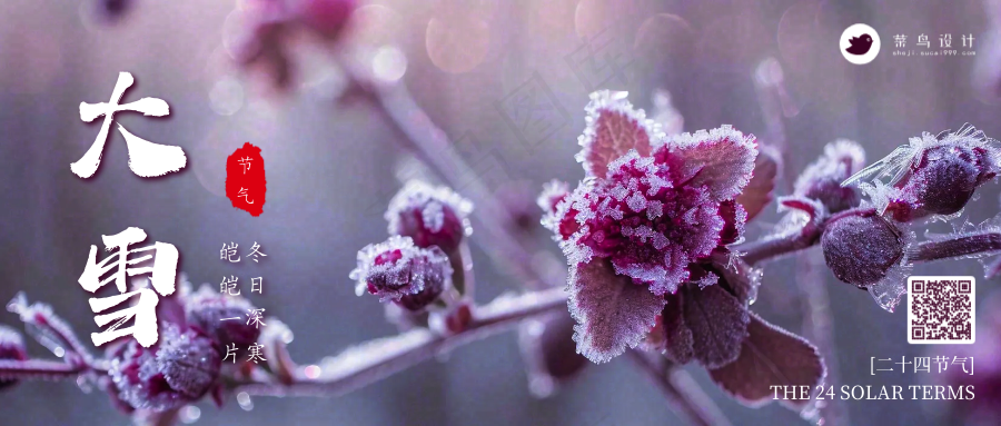 大雪公众号首图