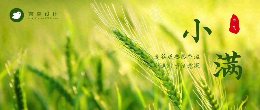 小满公众号首图