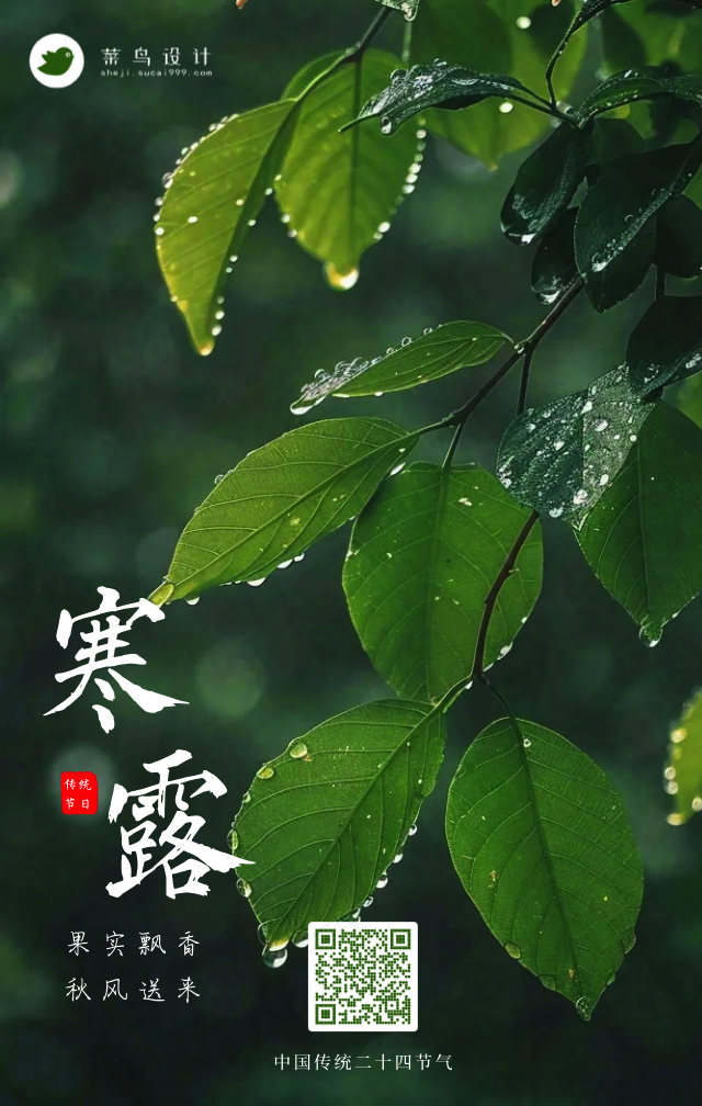 寒露手机海报