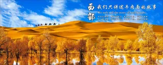 牛肉面美食海报