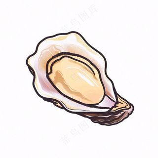 生蚝海鲜海洋卡通插画免抠