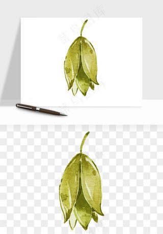清新手绘植物png免抠