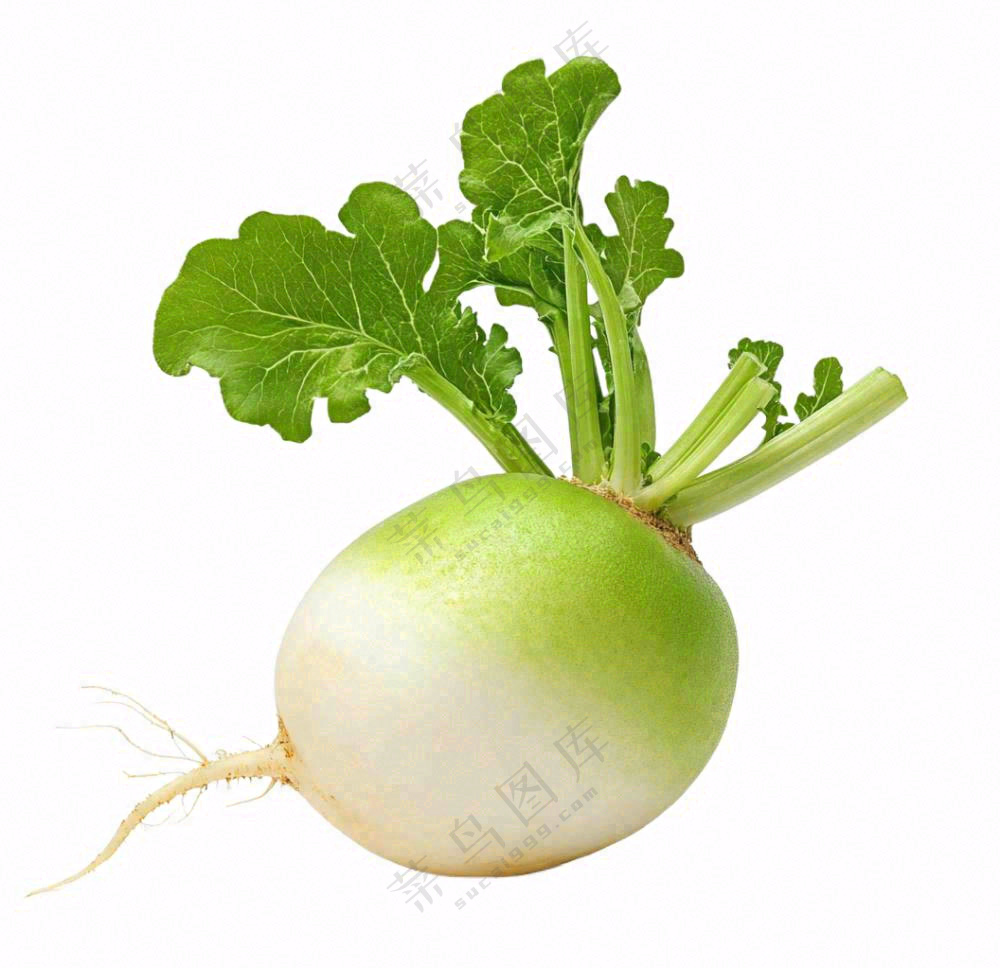 萝卜蔬菜免抠