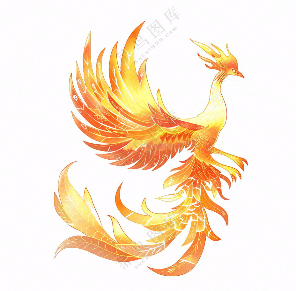 金色凤凰动物插画免抠