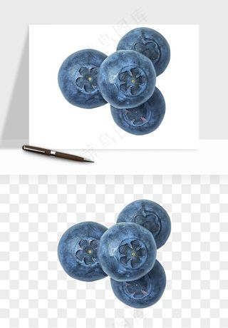 蓝莓水果png免抠