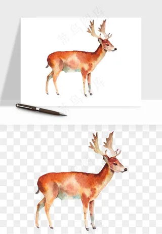 手绘梅花鹿小鹿麋鹿png免抠