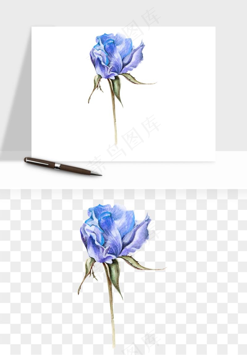 水彩复古植物花卉png免抠