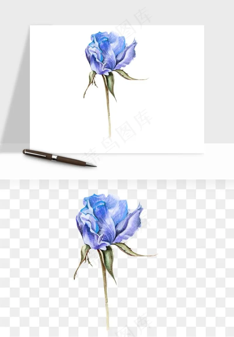 水彩复古植物花卉png免抠