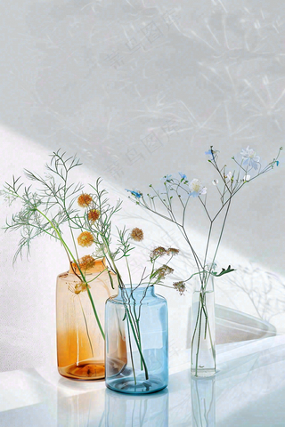 早安励志正能量简约摄影图