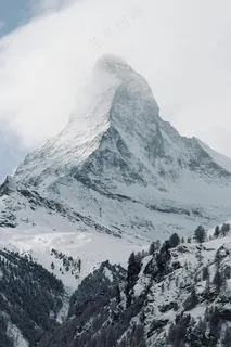 雪峰林韵冷峻景·冬日静谧风格·灰白雪调·收藏鉴赏 雪峰林韵冷峻景·冬日静谧风格·灰白雪调·收藏鉴赏