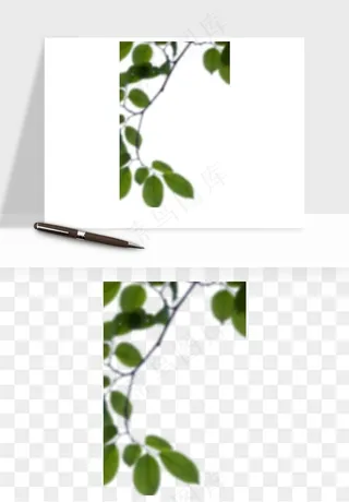 绿叶虚化前景树枝png免抠