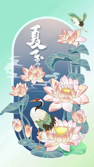 夏至节气传统海报