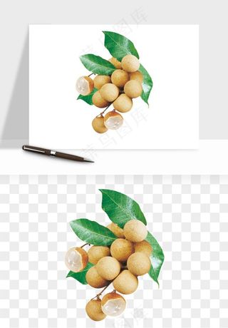 龙眼桂圆水果png免抠