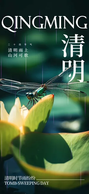 清明节日传统活动海报