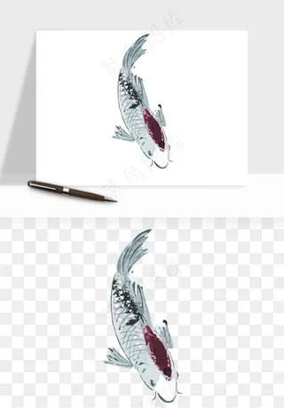 锦鲤鱼手绘水墨png免抠
