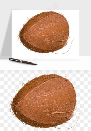 椰子椰果水果png免抠