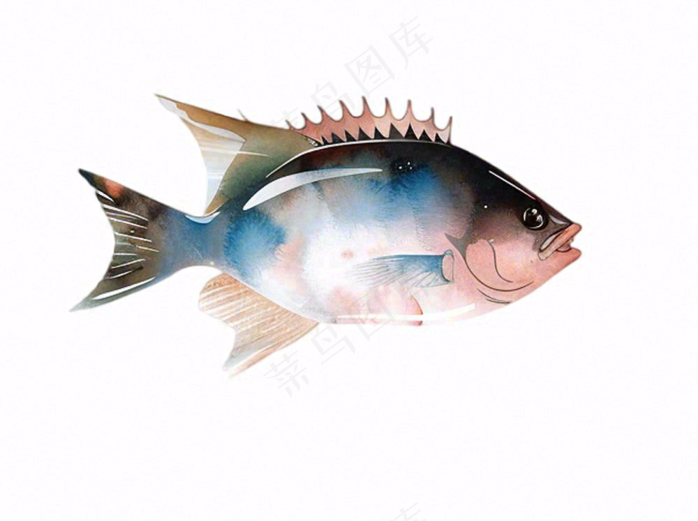 海洋鱼类海鲜卡通插画免抠