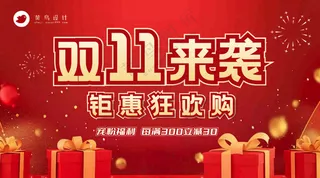 双十一钜惠狂欢横版海报