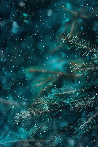 冬天森林里的松针树寒冷霜降摄影图