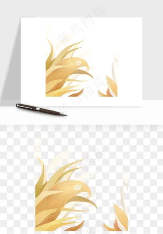 植物芦苇蒲苇香蒲png免抠