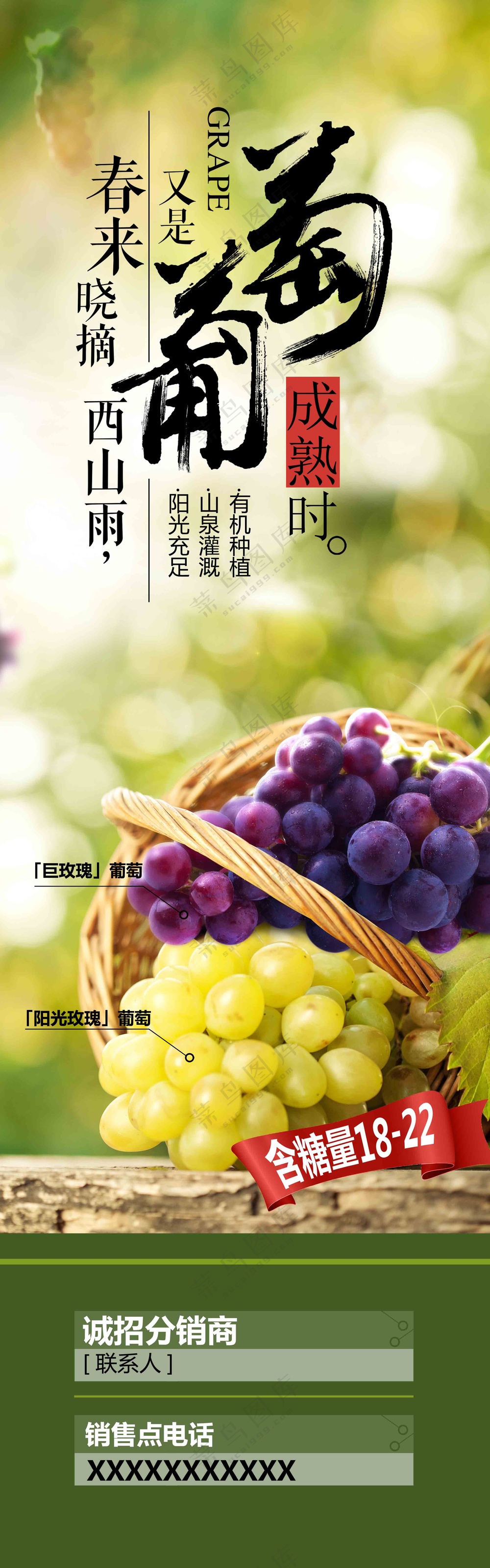绿色葡萄成熟时展架易拉宝画面设计