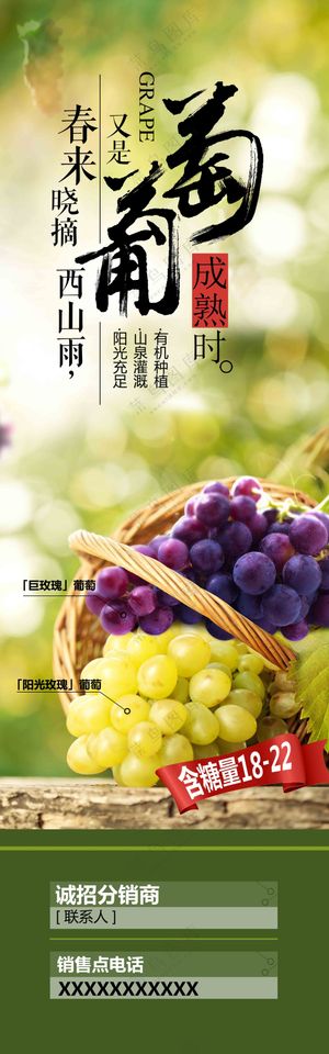 绿色葡萄成熟时展架易拉宝画面设计
