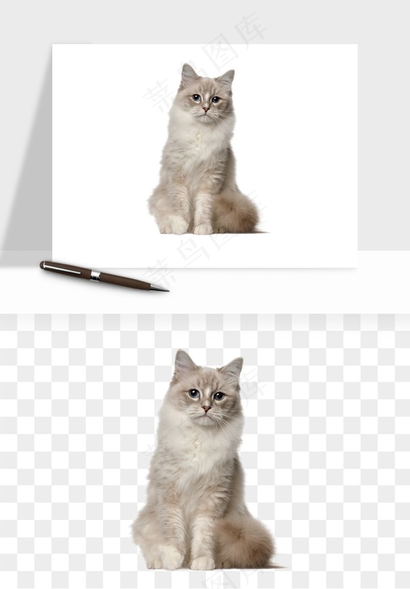 猫咪喵星人狗狗宠物元素png免抠