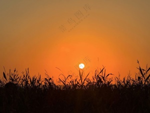 落日余晖 即将落山的太阳