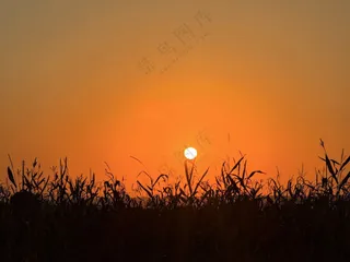 落日余晖 即将落山的太阳