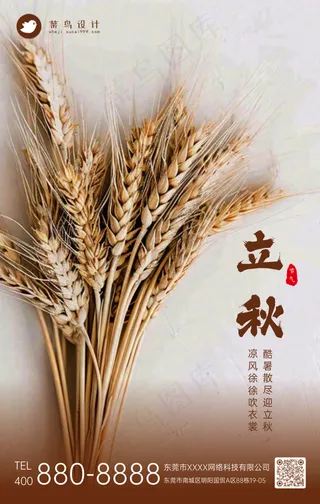 立秋手机海报