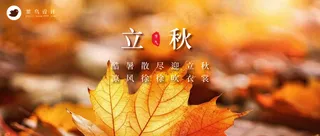 立秋公众号首图