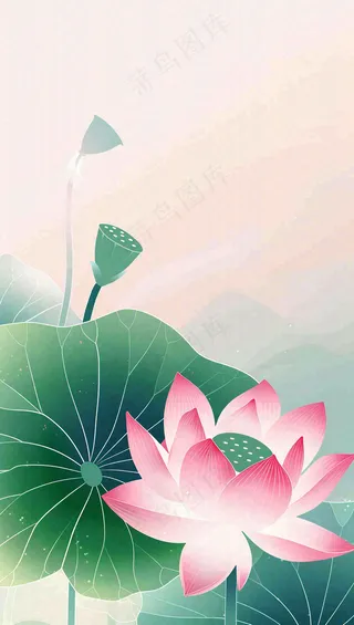 夏天荷花荷叶清凉小清新淡雅立夏夏至暑插画背景