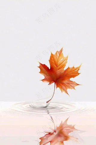 秋天枫叶掉落在水面倒影立秋秋分摄影图