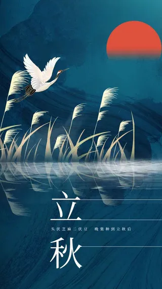 简约立秋节气传统海报